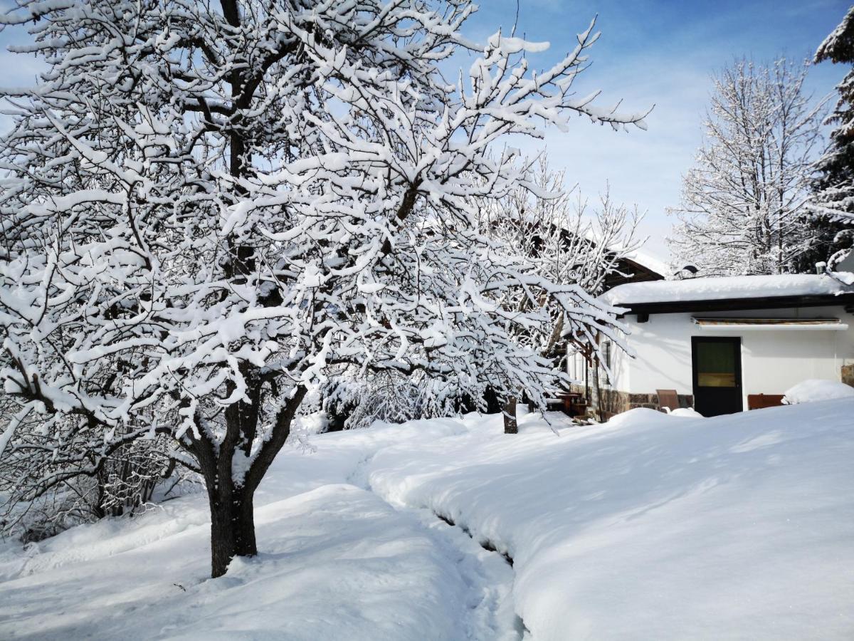 Appartchalet La Rondula Ορτιζέι Εξωτερικό φωτογραφία